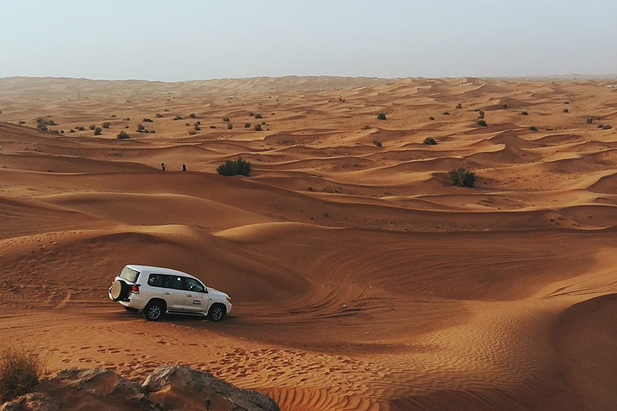 Dubai desert safari