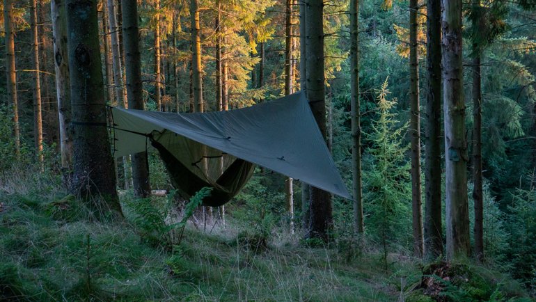 Tarp camp in the forest