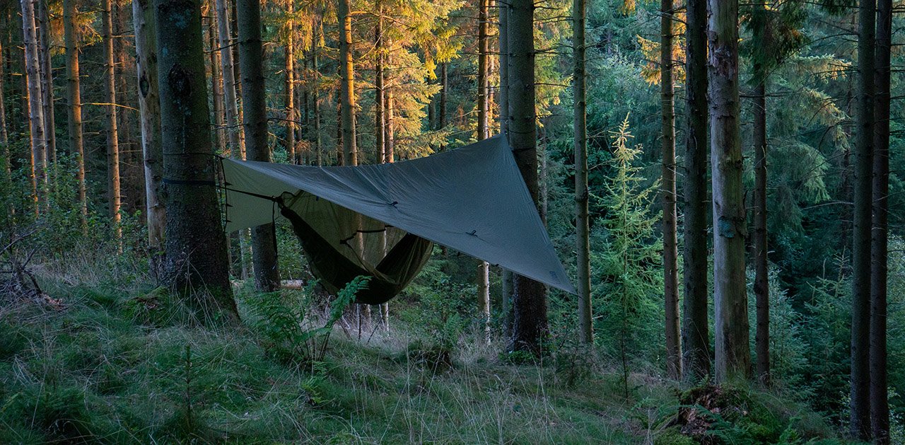 Tarp camp in the forest