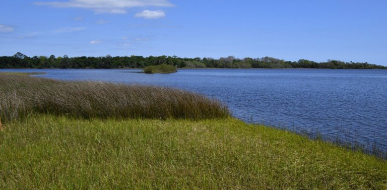 Water conservation in Florida