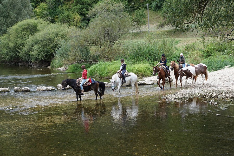 Horse riding by the river