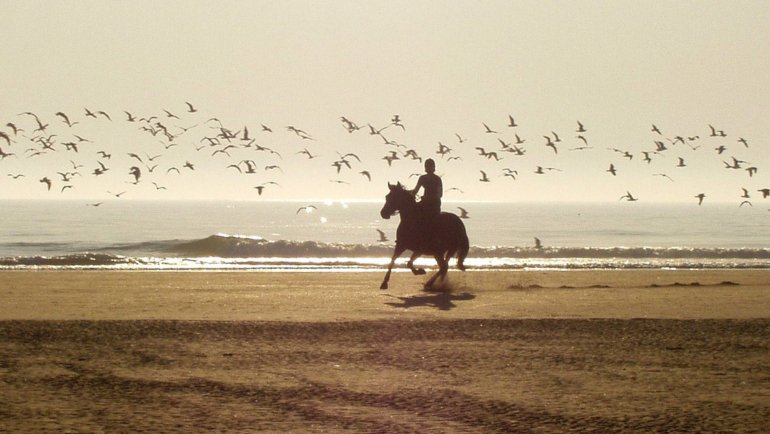 Horse riding on the beach