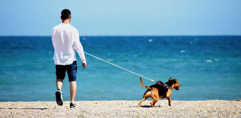 Man and his dog at the beach