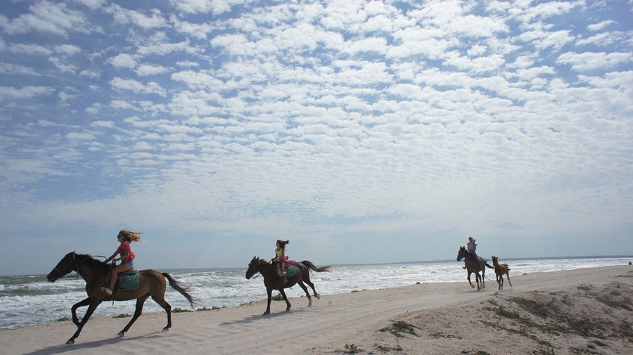 Horse riding on the beach