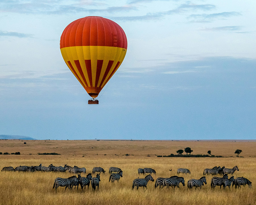 Balloon over zebras