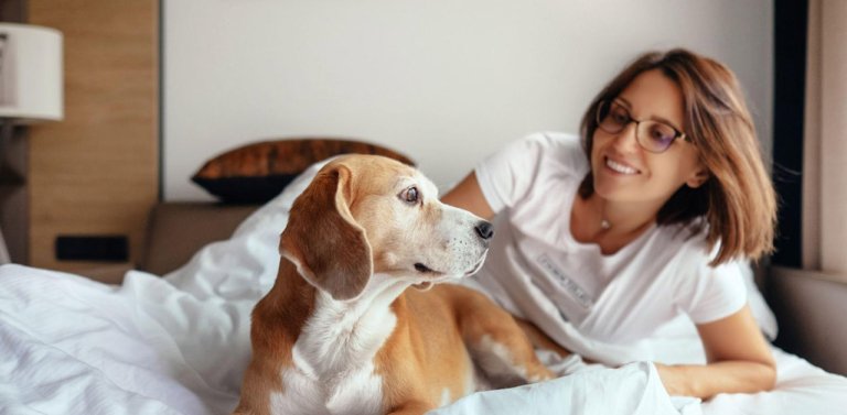 Woman and dog in hotel