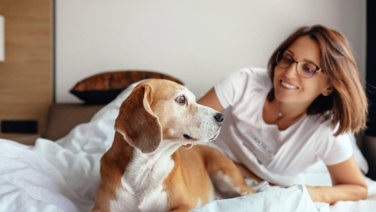 Woman and dog in hotel