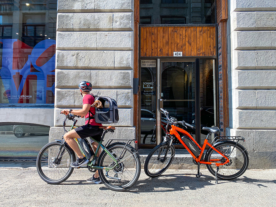 Addmotor Citypro E-43