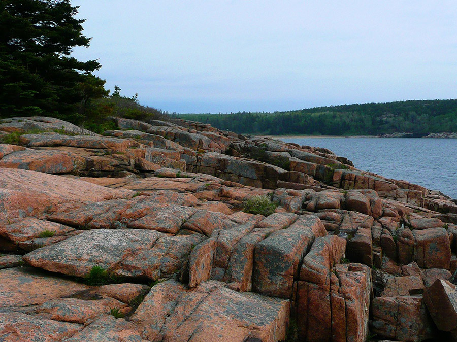Acadia NP rocks