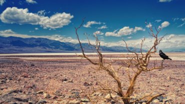 Death Valley National Park