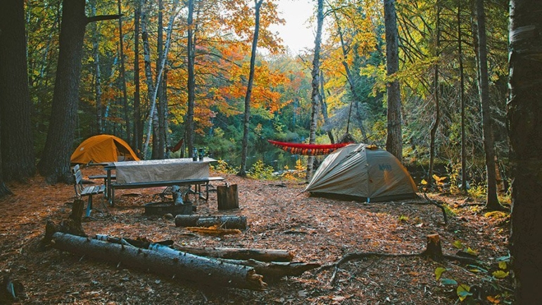 Camping setup in the woods