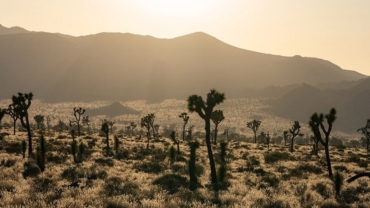 Southern California camping