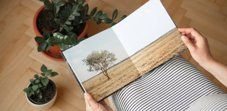 Person holding a photobook