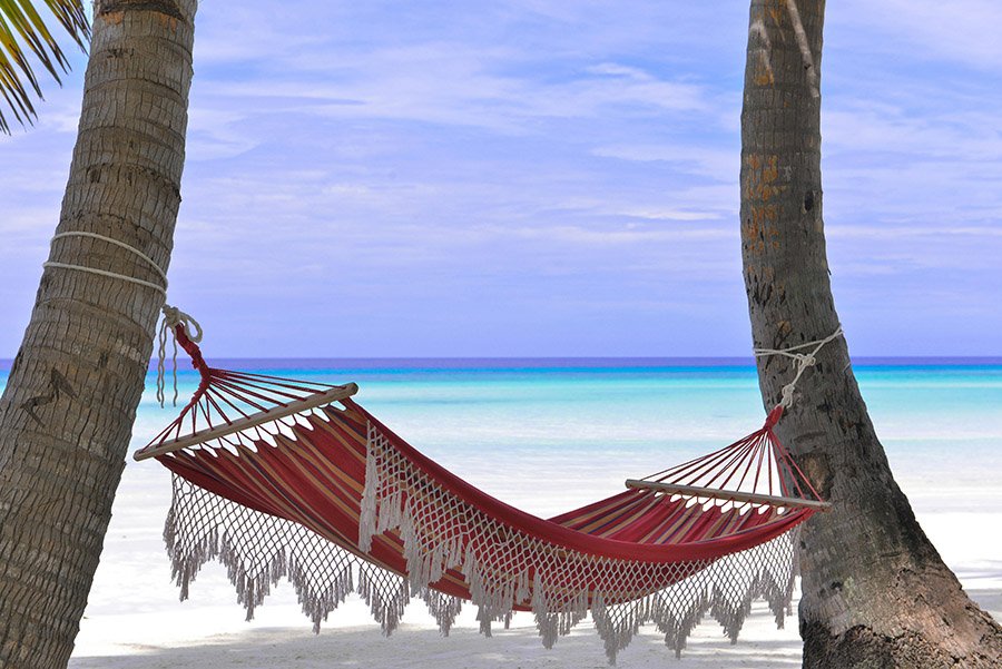 hammock on a beach
