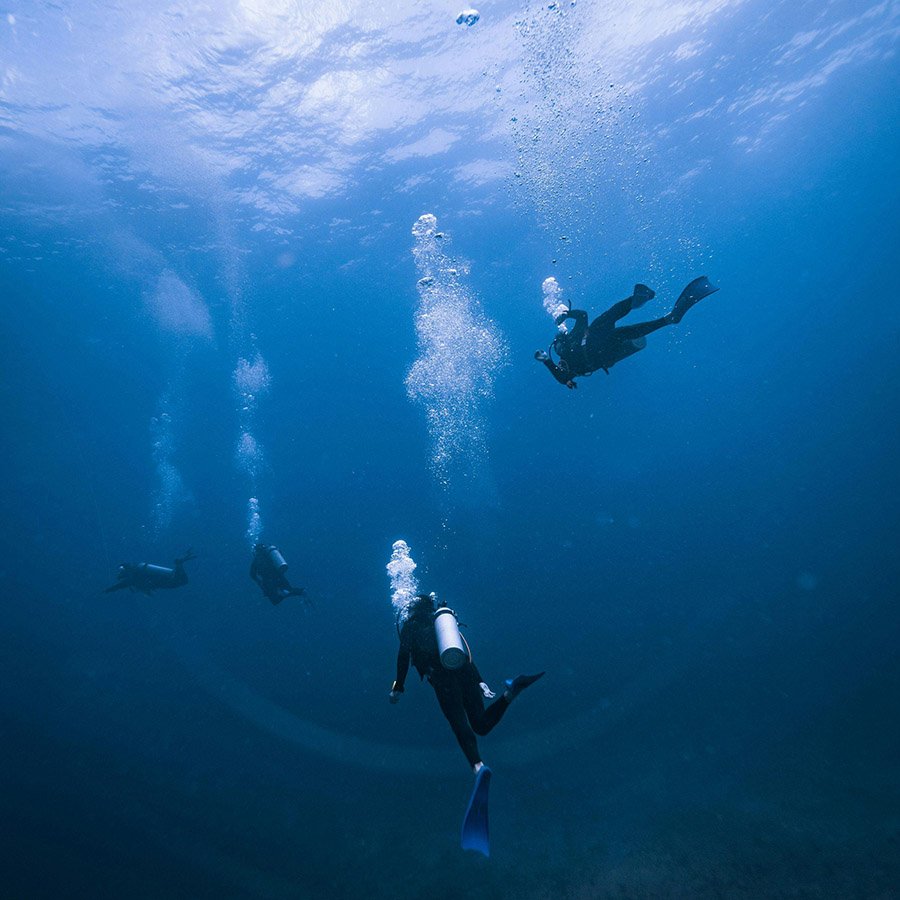 Four scuba divers
