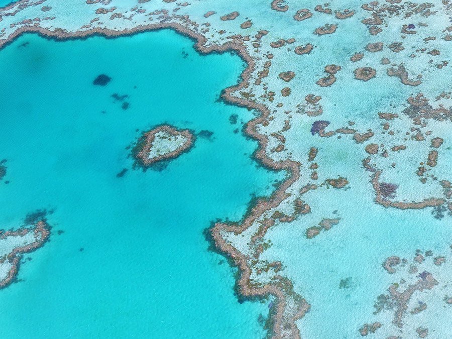 reef in Australia