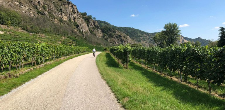 Cycling in wineyards