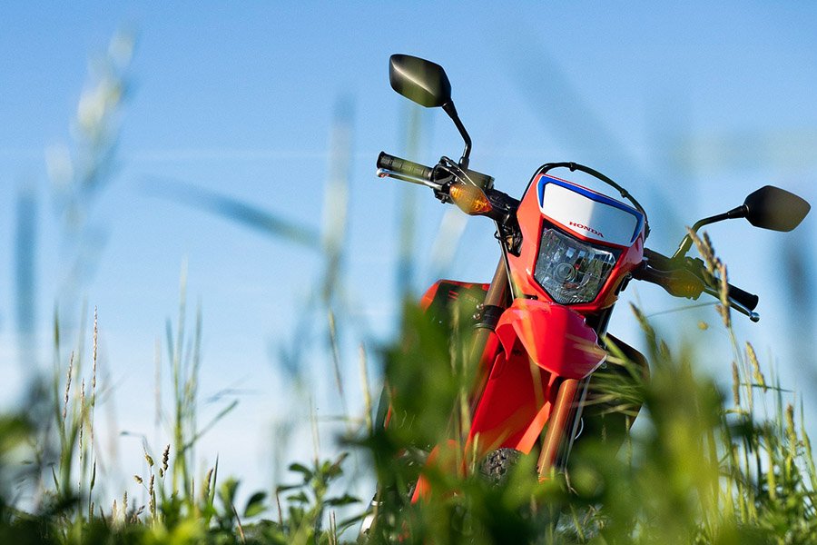 bike in grass