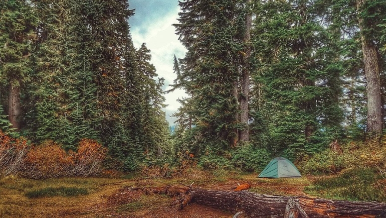 camping in the woods