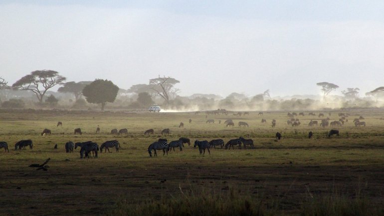 safari in Kenya