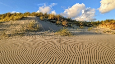 Camping in the Netherlands