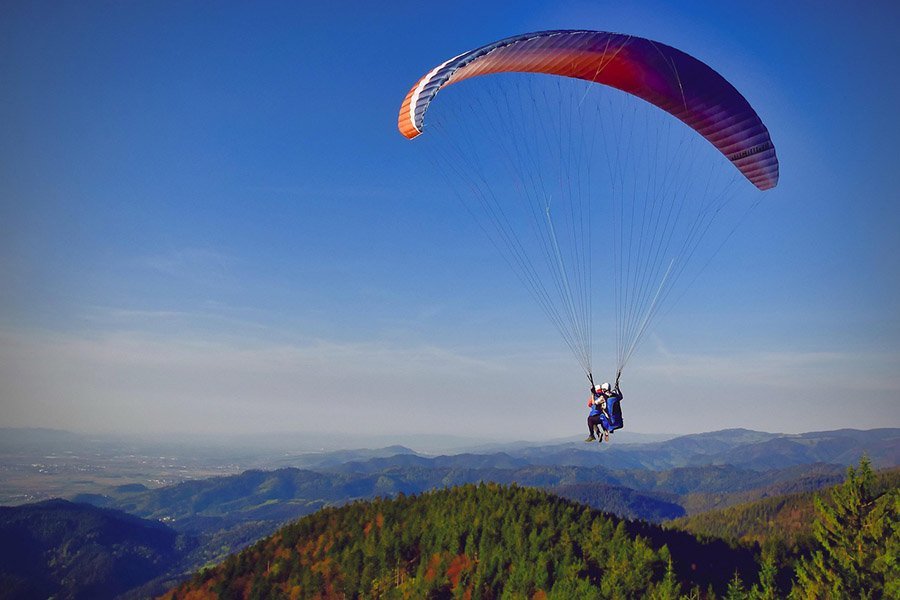 Paragliding over the forest