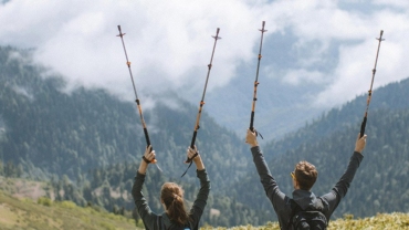Trekking poles