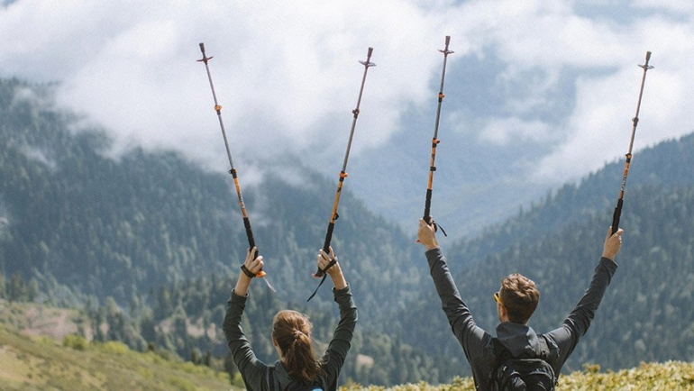 Trekking poles