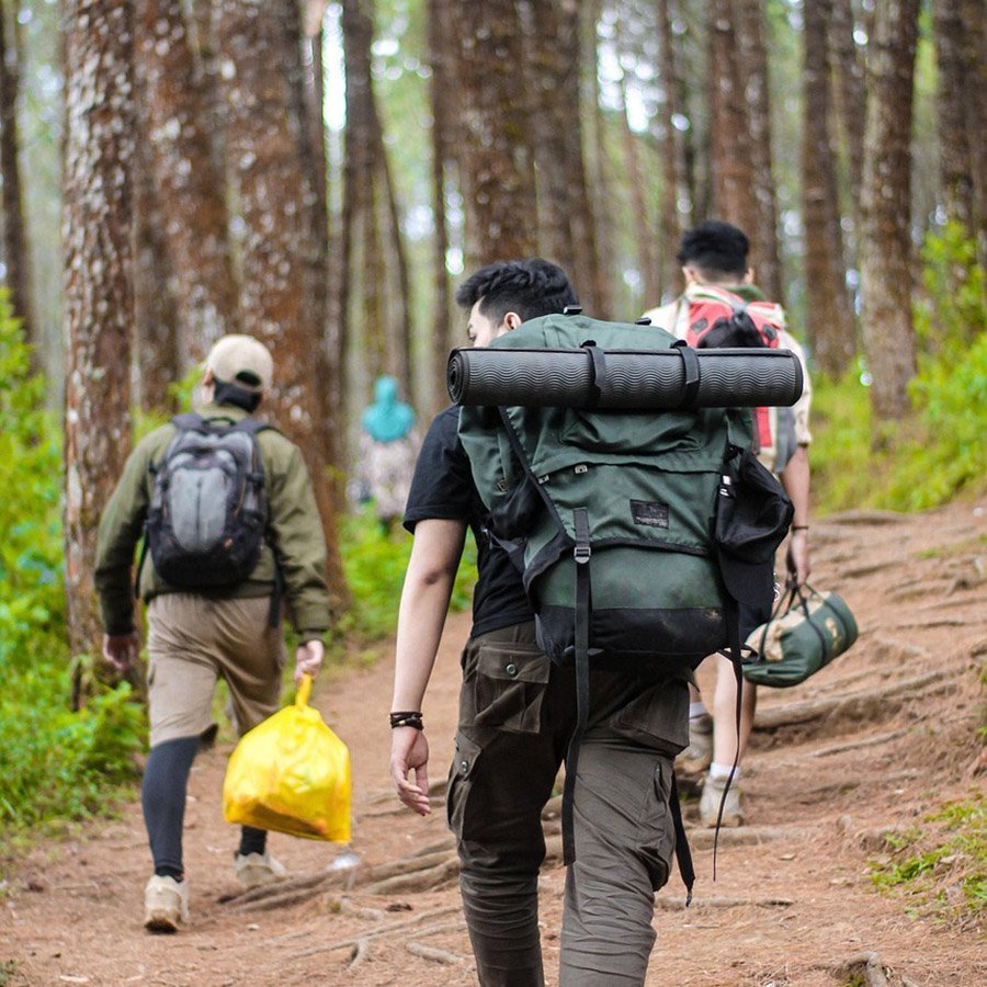 Hikers with trash bag for pliking