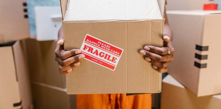 An Explorer’s Guide to Moving Safely Across the States