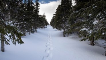 winter trekking with appalachianoutfitters.com