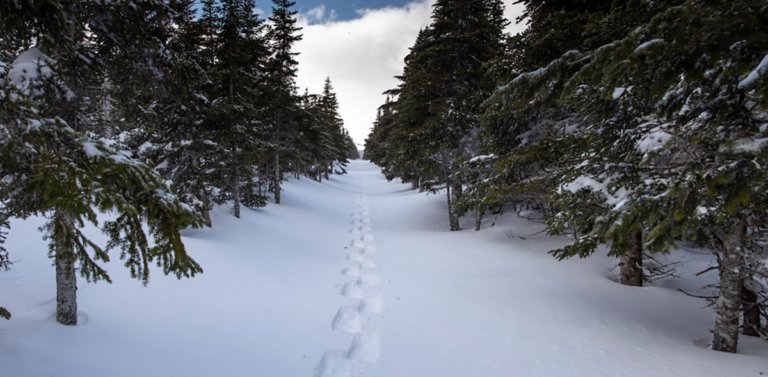 winter trekking with appalachianoutfitters.com