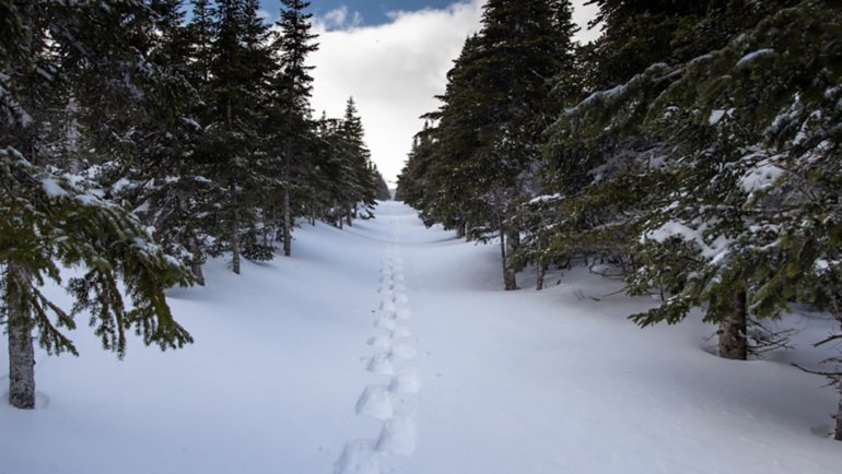 winter trekking with appalachianoutfitters.com