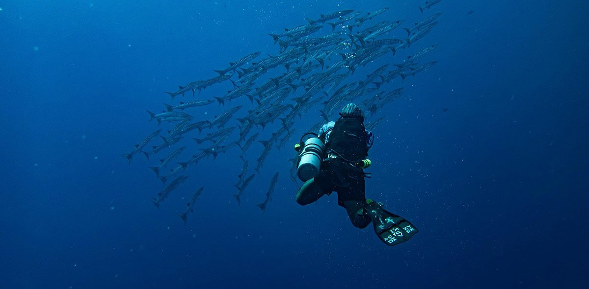 Capturing the underwater world with the right tools and techniques
