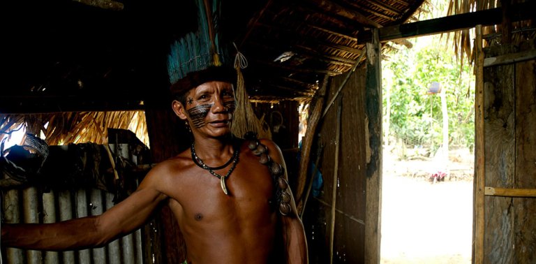 Exploring the Cultures of the Amazonian Tribes