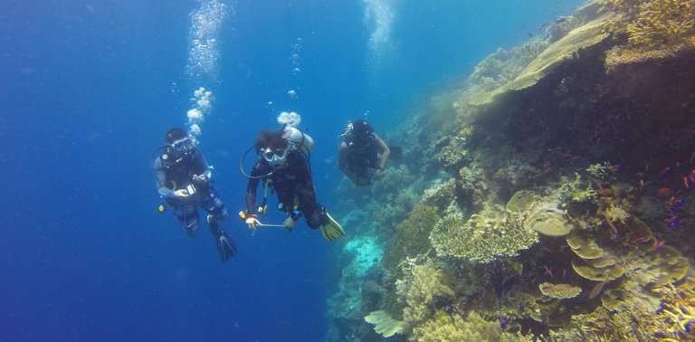 Why French Polynesia is a quietly extraordinary scuba diving destination